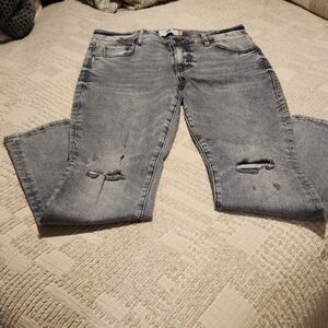 CAbi Light Gray Distressed Skinny Jeans